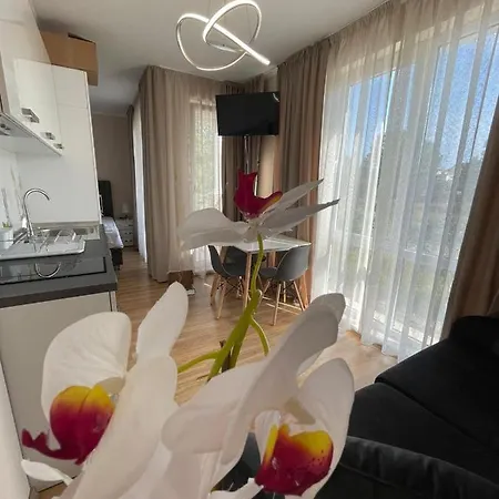 Apartment Izi Palace Deluxe Studiob1 *